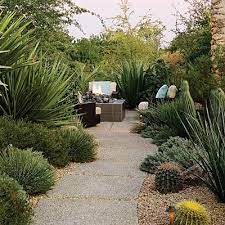 Southwest Backyard Ideas Desert Backyard Desert Landscaping Backyard Getaway