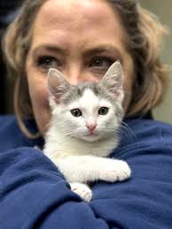 Adopting Two Kittens from a Shelter