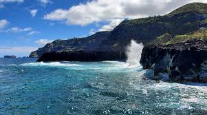 Image result for Ferraria