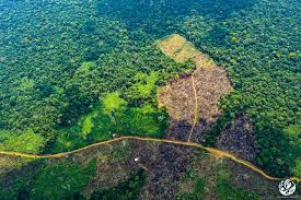 Deforestación en Colombia