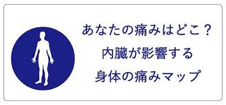 twitter 関連痛 脂肪肝 横隔膜