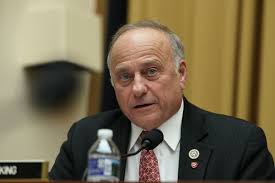 Steve King removed from committee assignments following racist comments