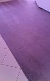 best carpet cleaning in south jersey