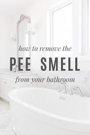 Any help would be greatly and the back story is gross sorry. 9 Ways To Get Rid Of Pee Smell Parenting