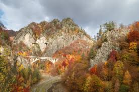 The Best Drives To See Fall Foliage In Europe
