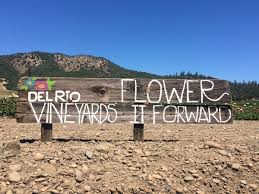 How do i get free flower delivery. Del Rio Vineyards Offers Free U Pick Flowers To Those Who Give