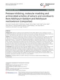 Image result for Helichrysum mechowianum