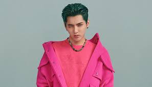 Chinese pop idol, kris wu. Kris Wu Models Louis Vuitton Fall Winter 2020 Menswear Collection