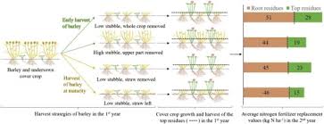 Documents will be returned by mail to the address indicated on the cover sheet unless pickup is requested. Cover Crop And Cereal Straw Management Influence The Residual Nitrogen Effect Sciencedirect