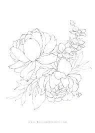 Flower Drawings Spring 2019 Artsketches Beautifuldrawings Btsdrawingeasy Cooldrawings Drawingof Peony Illustration Floral Drawing Flower Line Drawings