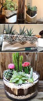 Succulents are a terrific way to spruce up your container game. Plant Succulents In A Glass Container Filled With Layers Of Pebbles And Sand Succulents In Glass Colorful Succulents Garden Container Garden Succulents