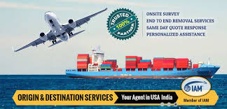 Check spelling or type a new query. How Many Days It Takes To Ship From Usa To India Quora
