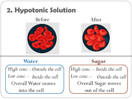 Maybe you would like to learn more about one of these? Cell Processes Ppt Download