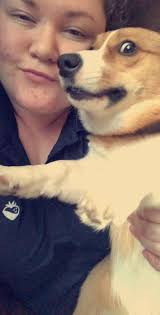 Jinx the cat's opinion