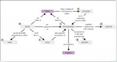 Meiosis terminology drag the labels from the left to their correct locations in the concept. Bio 181 Mastering Biology Chapter 11 Meiosis Flashcards Cram Com