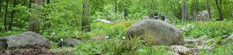 Der botanische garten auf der gugl zählt zu den schönsten anlagen europas. Botanischer Garten Universitat Ulm