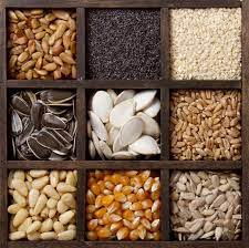 The majority of seed banks store crop diversity. The Most Valuable Seeds In The World What Do We Really Know About Their Health Benefits Seed Storage Edible Seeds How To Store Seeds