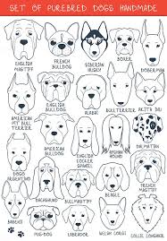 Set Of 24 Dogs Of Different Breeds H By Lauritta On Creative Market Goruntuler Ile Hayvan Eskizleri Doodle Desenleri Cizim Egitimleri