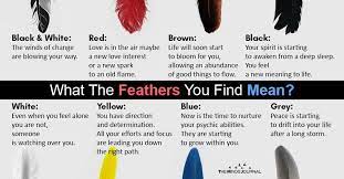 They come from winged creatures of the sky, of the heavens, who fly free and unfettered above the rest of the world. Spirit Messages From Feather What The Feathers You Find Mean