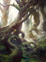 Forest Battle For Zendikar Forest Drawing Fantasy Art Landscapes Forest Art