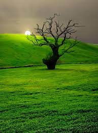 By registering or logging in you agree to give mysticart pictures right to contact you. Profile Pictures Nature Dp Images Novocom Top