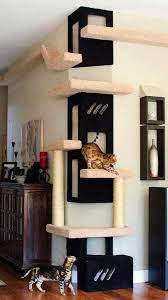 For Cat Lovers Pinterest