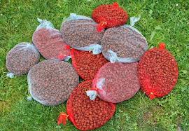 Endlich Klares Wasser Im Gartenteich Ein Teich Bereichert Einen Garten Denn Schon Bald Nach Seiner Anlage Entwick Teichfilter Teich Gartenteich Selber Bauen