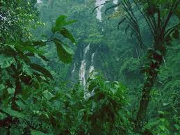 Panorama indah di sore hari saat matahari memancarkan pesonanya. Curug Cigamea Bogor