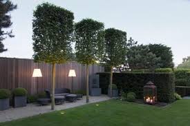 Im Rasen Eingelassenes Gartenlicht Individuell Per Fernbedienung Steuerbar Garten Licht Im Garten Garten Landschaftsbau