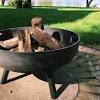 Learn everything you need to know about propane and natural gas fire features. 1
