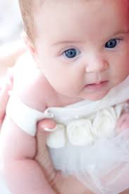 Rob Stillwell Photography