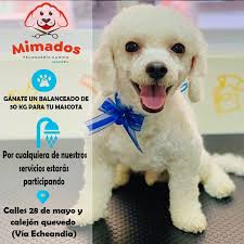 JovenesProducciones.com