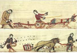 The central scene of the bayeux tapestry is actually many scenes that extend for about 68 meters. Ploughin Forward An Agricultural Revolution In The Middle Ages The Low Countries