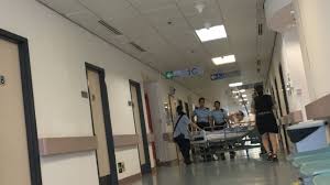 頂埔 永寧 土城 海山 亞東醫院 府中 板橋 新埔 江子翠 龍山寺 西門 善導寺 忠孝 新生 忠孝 復興 忠孝敦化 國父紀念館 市政府 永春 後山埤 昆陽 南港 南港展覽 動物園 木柵 萬芳社區 萬芳醫院 辛亥 麟光 六張犁 科技大樓 南京復興 中山國中 松山機場 大直 劍南路 西湖 港墘 文德 內湖 大湖公園 葫洲 東湖 南港軟體. 811è¡çª è­¦è»Šé€²é§åŒ—å€é†«é™¢è­¦å¯Ÿ24å°æ™‚çœ‹å®ˆç•™é™¢è¢«æ•äºº é¦™æ¸¯01 çªç™¼