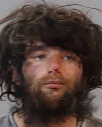 Name: GREENE ASHLEY LYNNETTE 03/31/1989 F B Booking Date: 12/19/2024  Charges: TRESPASS PROP. OTHER THAN STRUCTURE/CONVEYANCE