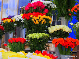 Piata de flori din bucuresti in cartierul rahova, cu the ark (fosta bursa de marfuri), restaurantul ivan pescar & scrumbia bar, tiganii cu flori, cateii si multe altele… Dufilet Piata De Flori Bucuresti Program