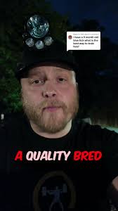 Training Blue Tick Hound inside Dog