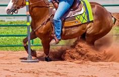 Great Southland Stampede Rodeo