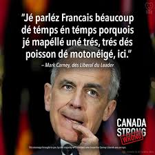 Grand Duchy of Cornigo**; *Grand-Duché de Cornigo *- European country  replacing the Agde Canton, France. From Paragon in [Blackhawk  #18](https://comicbookplus.com/?dlid=19307) **Capital:** Cornigo  (city-state) **Largest Quarter:** Collogne Ward ...