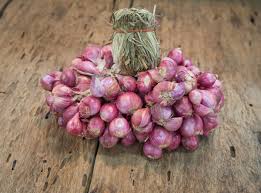 This plant is hardy when grown in. Shallot Substitutes Tastessence