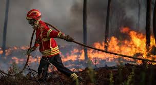 Monchique wildfires as seen from. Monchique Ainda Aguarda Reparacao Dos Danos Do Incendio De 2018