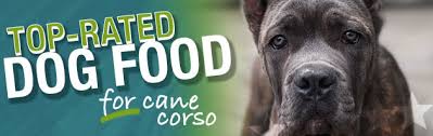 Best Dog Food For Cane Corso Ultimate Buyers Guide For 2019