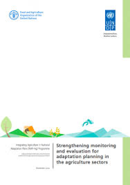 Ragin, robert ito, joseph roman. Strengthening Monitoring And Evaluation For Adaptation Planning In The Agriculture Sectors Undp Climate Change Adaptation