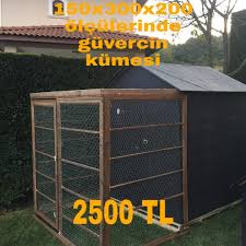 Guvercin Kumesi 2020 Kumes Evler Istanbul