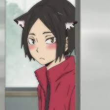 Kenma Catboy Anime Kitten Anime Cat Boy Catboy