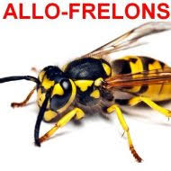 Maybe you would like to learn more about one of these? Allo Frelons Elimination Des Nids De Frelon Frelons Asiatiques Guepes
