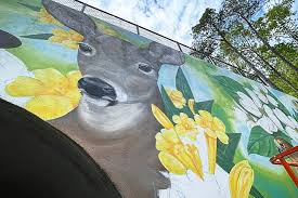 Are you looking for fresh flowers? White Oak Creek Greenway Photos Traillink