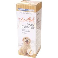 Pharmased Maxisol Kopek Cis Egitim Spreyi 100 Cc Fiyati