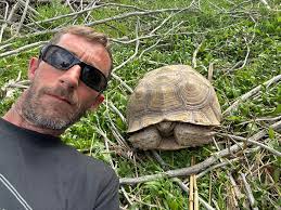 Encountering a tortoise at Lower Salt River in Arizona