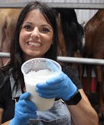 Saltscapes Food and Travel 2022 by Metro Guide Publishing